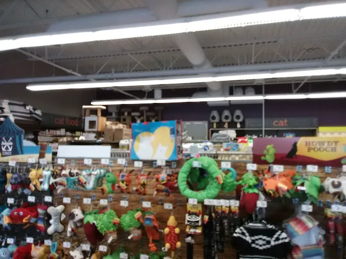 Petco Picture 5
