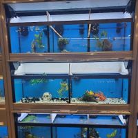 Pet Supplies Plus Smyrna ico