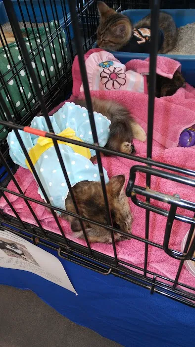 Pet Supplies Plus Smyrna Picture 5