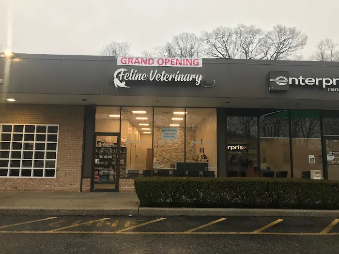 Feline Veterinary Medical Center Picture 3