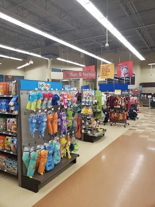 Petco Picture 1
