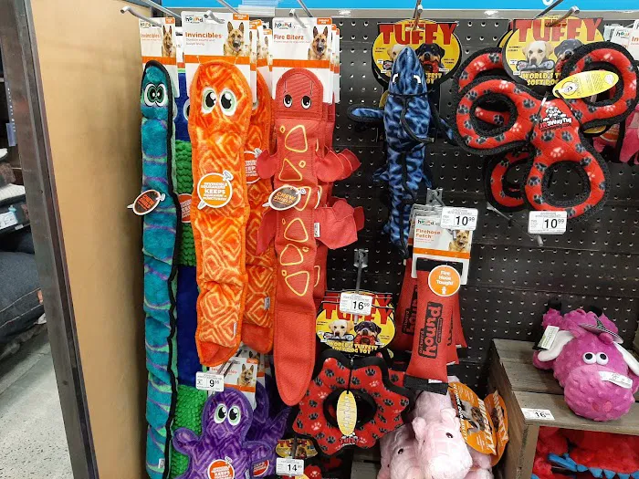 Petco Picture 10