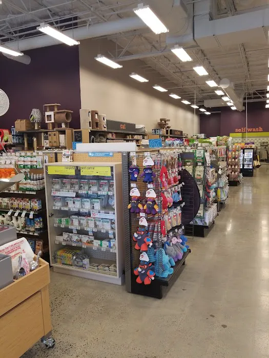 Petco Picture 8