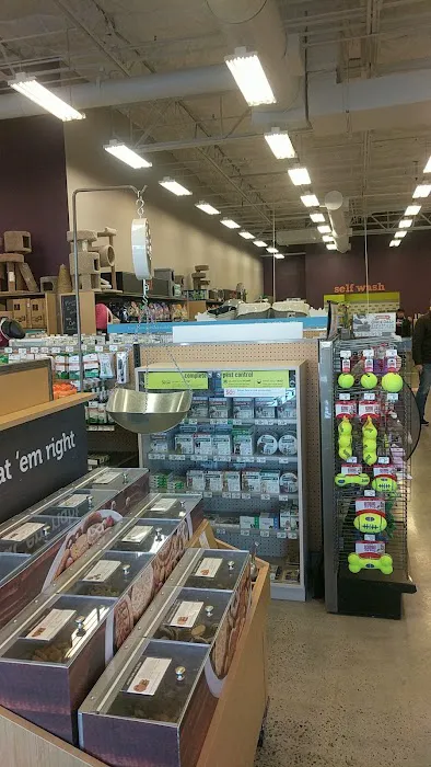 Petco Picture 6