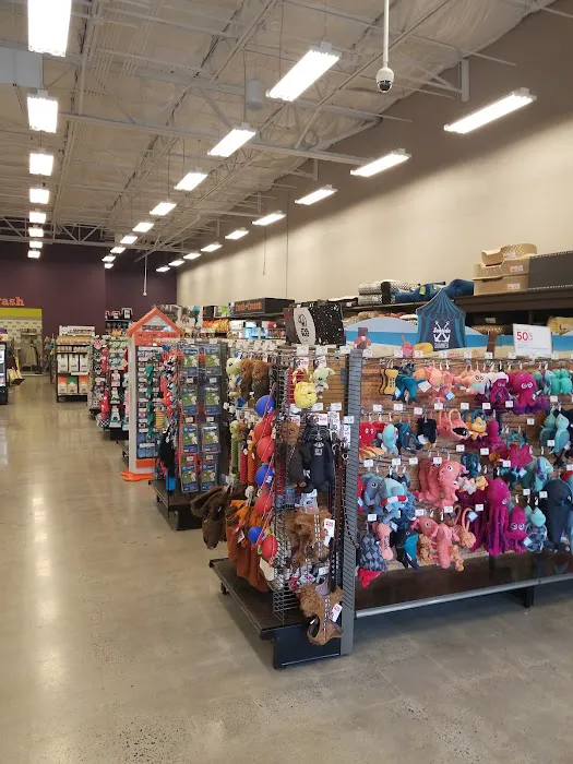 Petco Picture 9