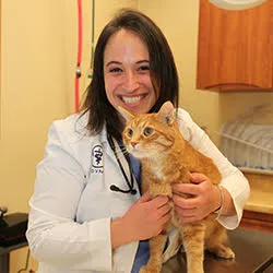 Northvale Veterinary Clinic Picture 10
