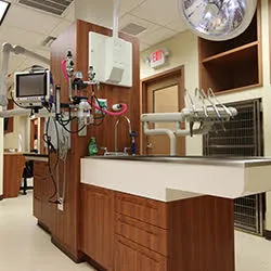 Northvale Veterinary Clinic Picture 3