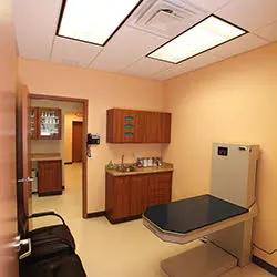Northvale Veterinary Clinic Picture 1