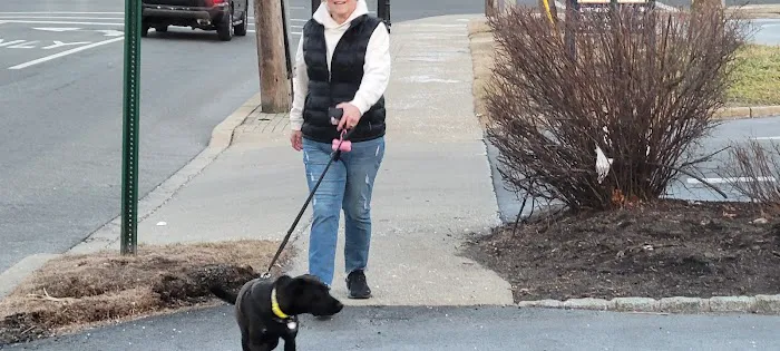 VCA Old Tappan Veterinary Hospital Picture 1
