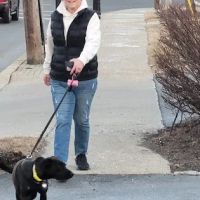 VCA Old Tappan Veterinary Hospital ico