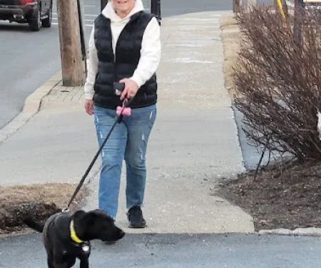 VCA Old Tappan Veterinary Hospital