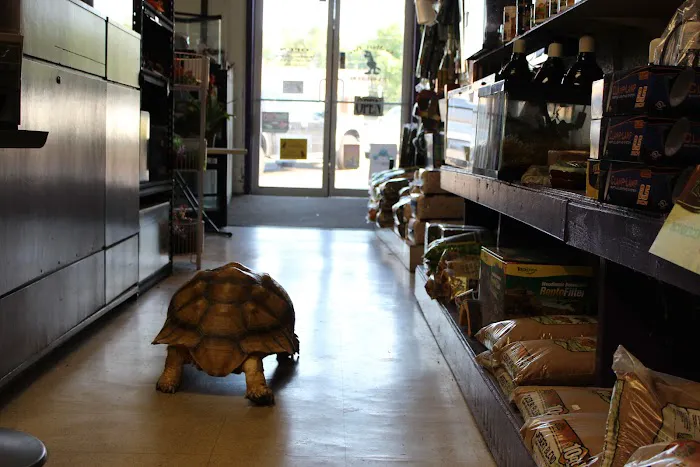 AniMart Pets Picture 4