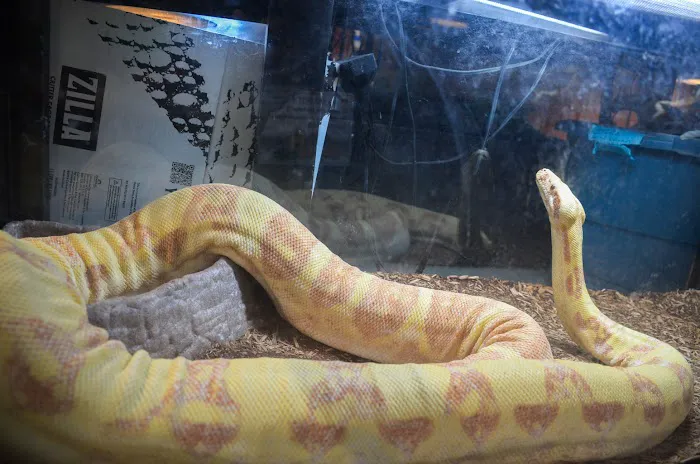 AniMart Pets Picture 1