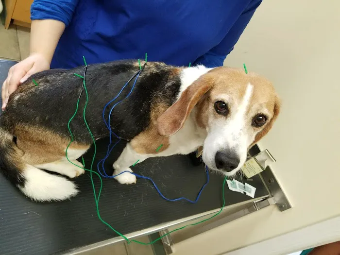 Dakota Veterinary Center Picture 8