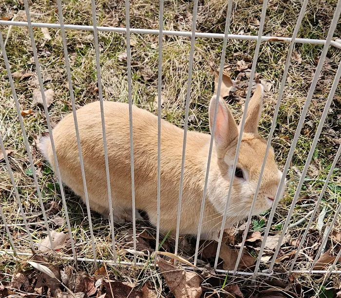 Dakota Veterinary Center Picture 7