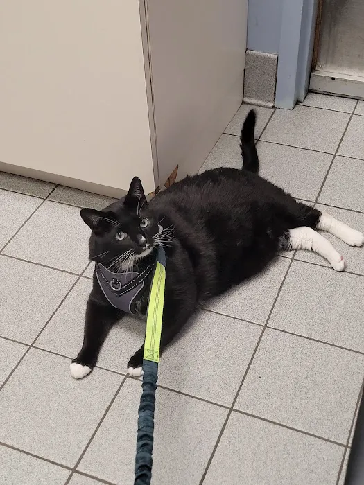 Cresskill Animal Hospital Picture 1