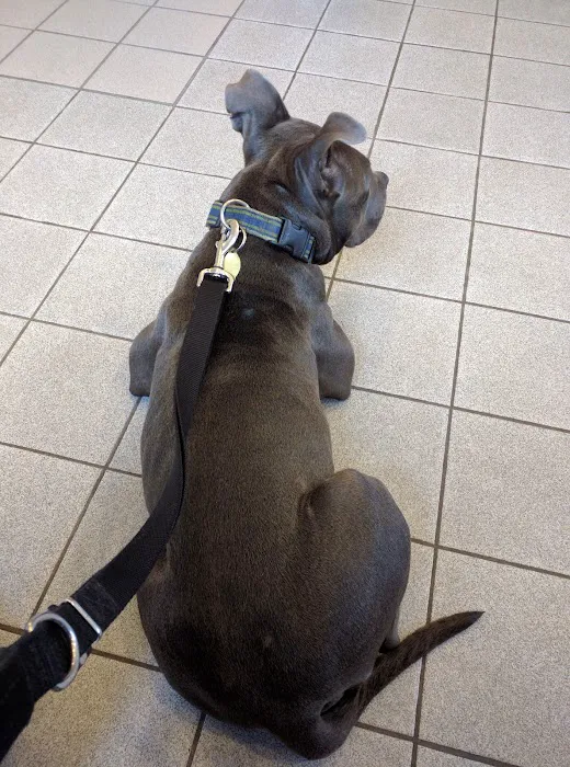 Cresskill Animal Hospital Picture 8