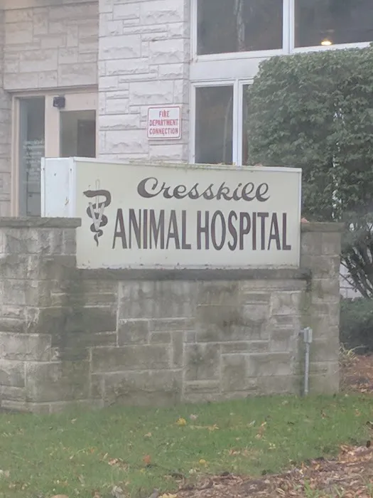 Cresskill Animal Hospital Picture 5