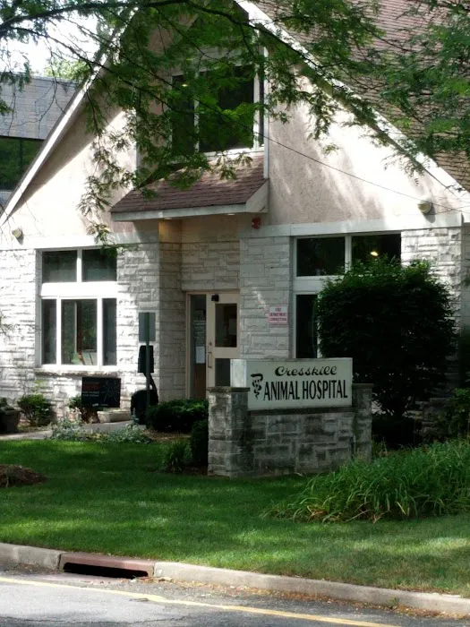 Cresskill Animal Hospital Picture 9