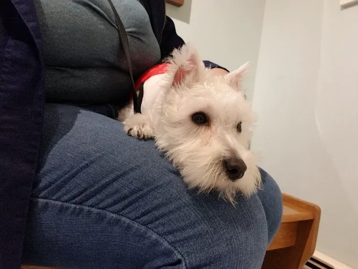 Dr Rivero Rita DVM - Demarest Veterinarian Picture 2