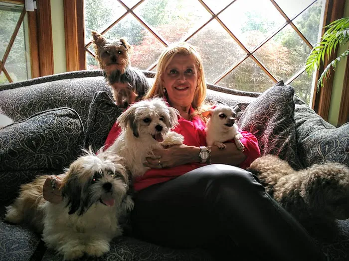 Dr Rivero Rita DVM - Demarest Veterinarian Picture 1