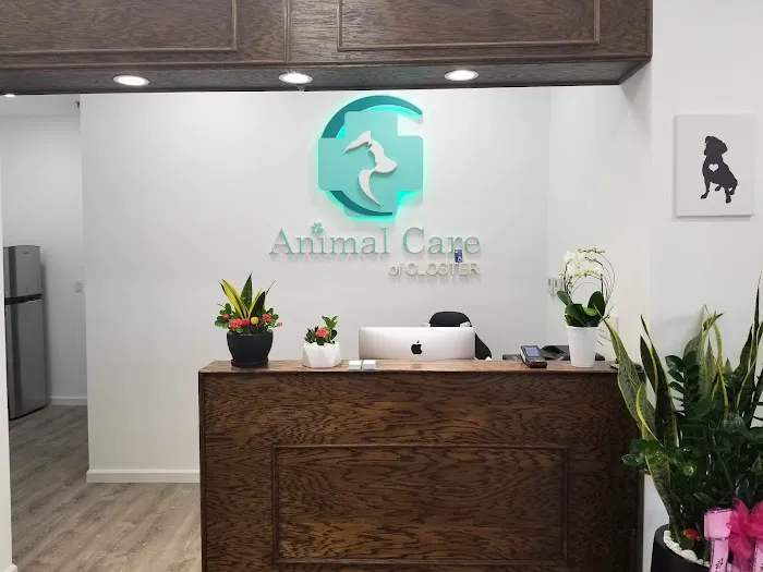 Animal Care of Closter Picture 6