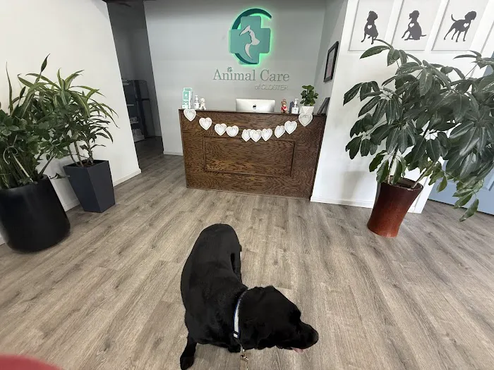 Animal Care of Closter Picture 1