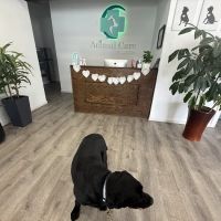 Animal Care of Closter ico