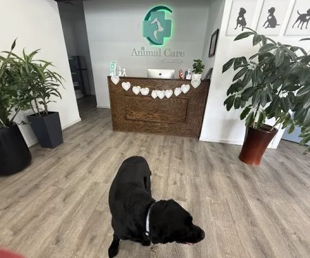 Animal Care of Closter