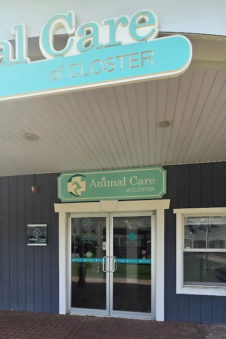 Animal Care of Closter Picture 8