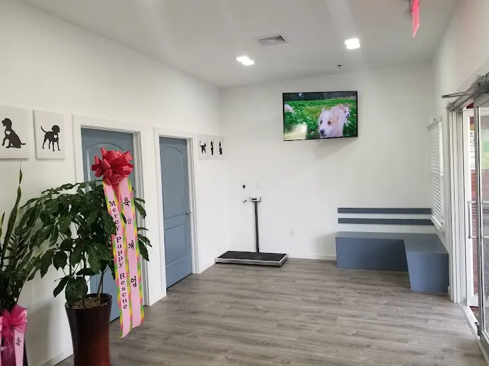 Animal Care of Closter Picture 7