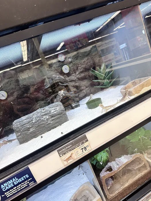 Petco Picture 8