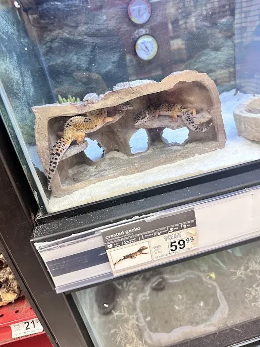 Petco Picture 3