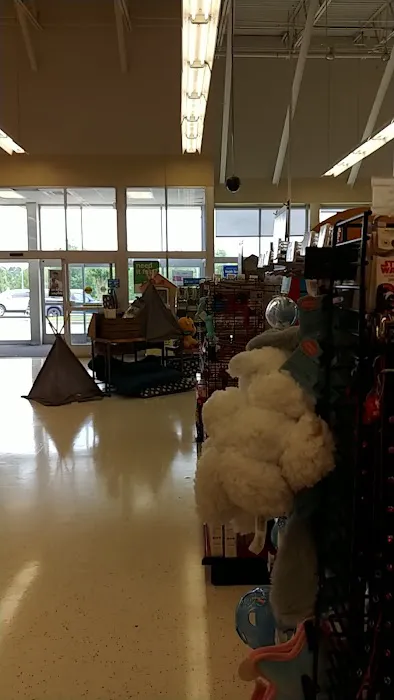 Petco Picture 4