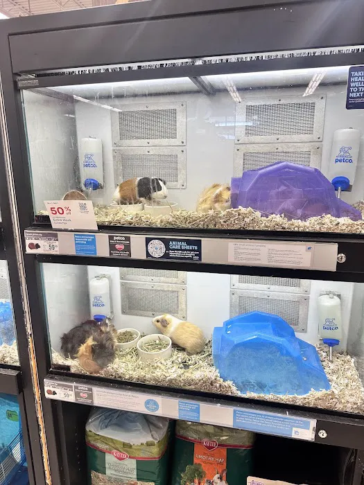 Petco Picture 7