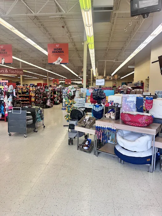 Petco Picture 1
