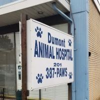 Dumont Animal Hospital ico