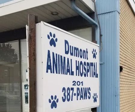 Dumont Animal Hospital