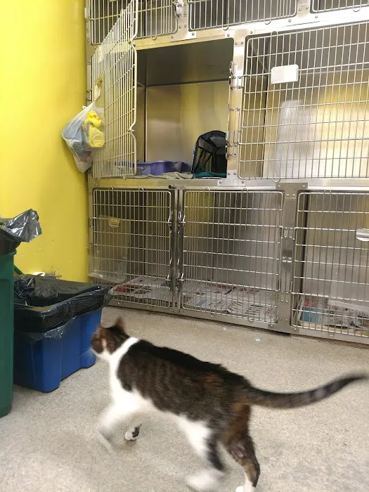 Dumont Animal Hospital Picture 3