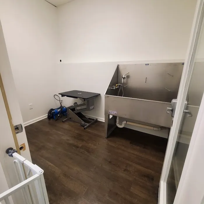 Jazzy Pawz Pet Care Suites Picture 7