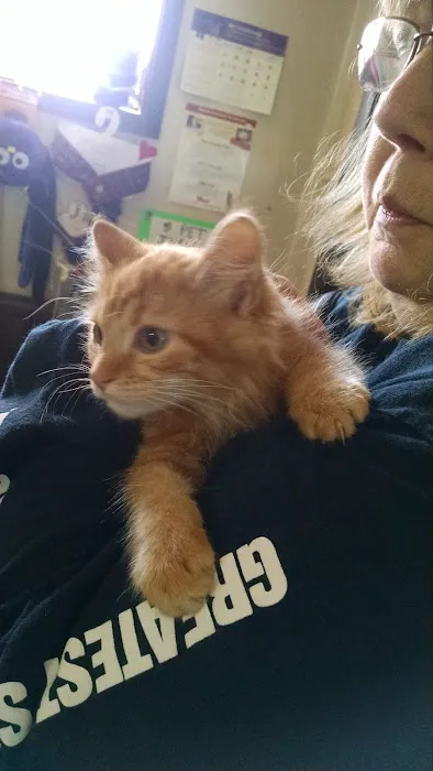Hackensack Animal Hospital Picture 6