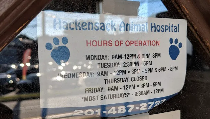 Hackensack Animal Hospital Picture 2