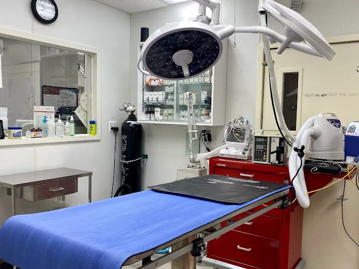 Ridgefield Park Animal Hospital Picture 2