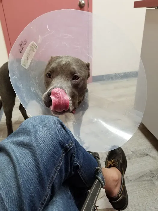 Ridgefield Park Animal Hospital Picture 3