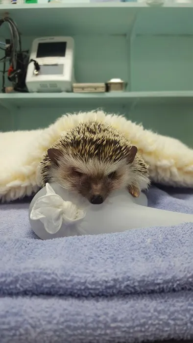 Ridgefield Park Animal Hospital Picture 5
