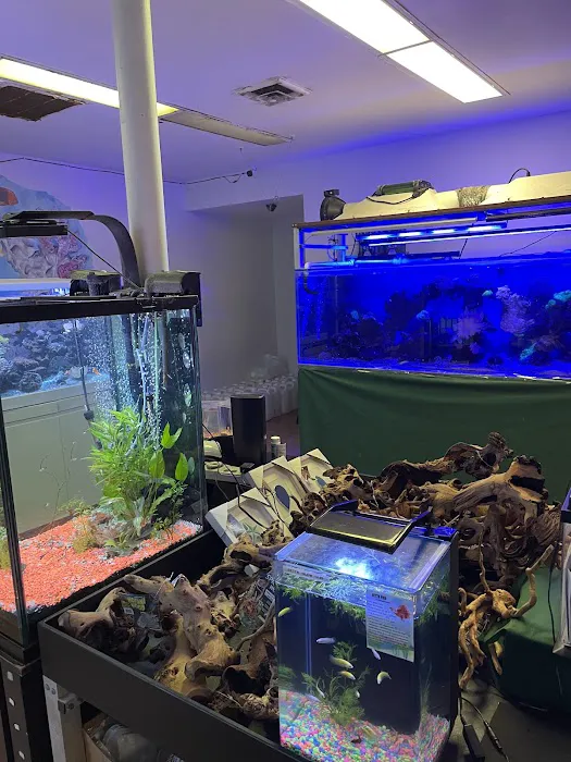 The Fish Store Picture 5