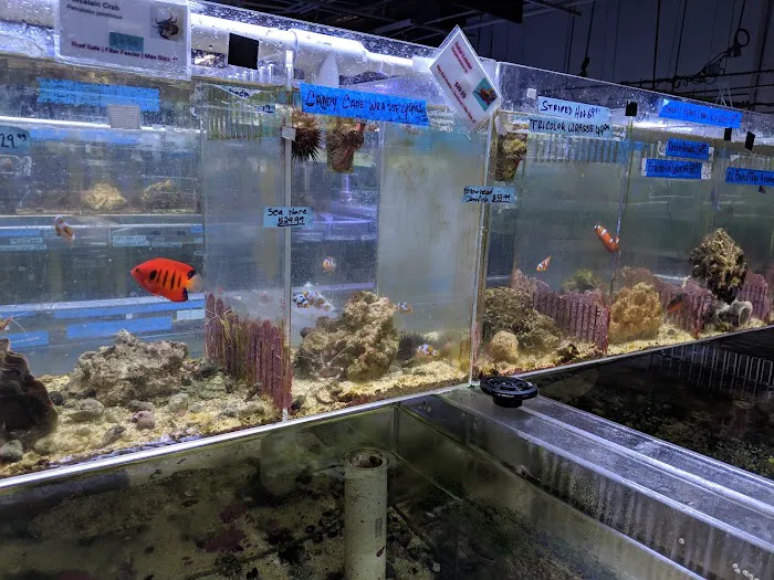 The Fish Store Picture 3