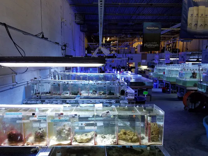 The Fish Store Picture 1
