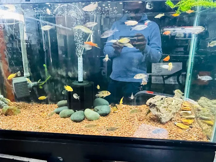 The Fish Store Picture 2