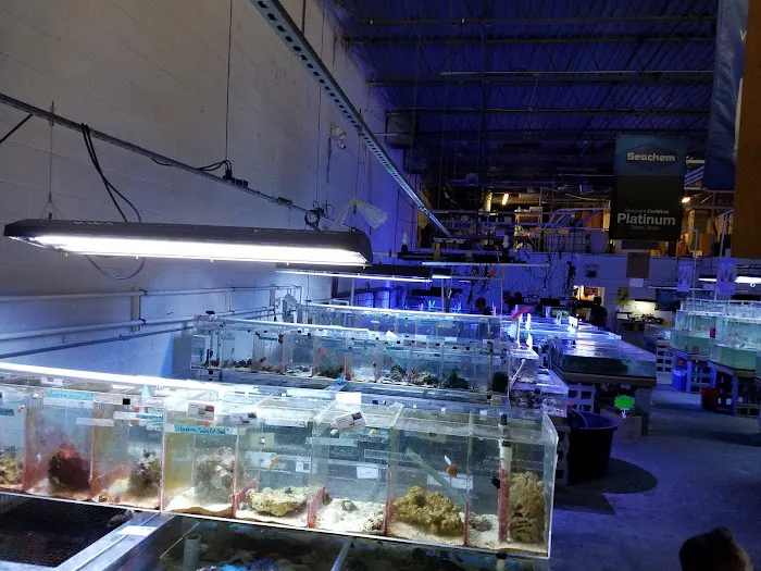 The Fish Store Picture 7